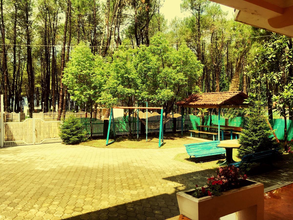 Hotel Qeti Shekhvetili Buitenkant foto